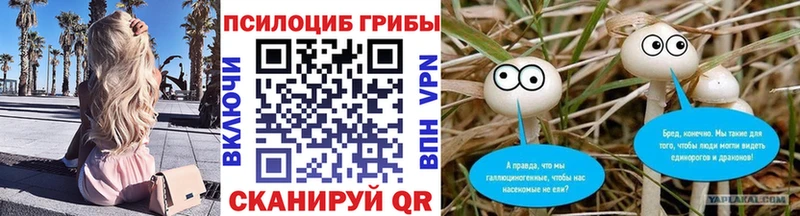 Галлюциногенные грибы прущие грибы  как найти закладки  Майкоп 