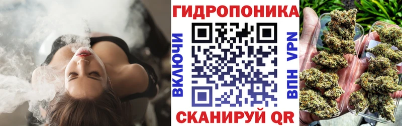 даркнет сайт  Майкоп  Шишки марихуана тримм 
